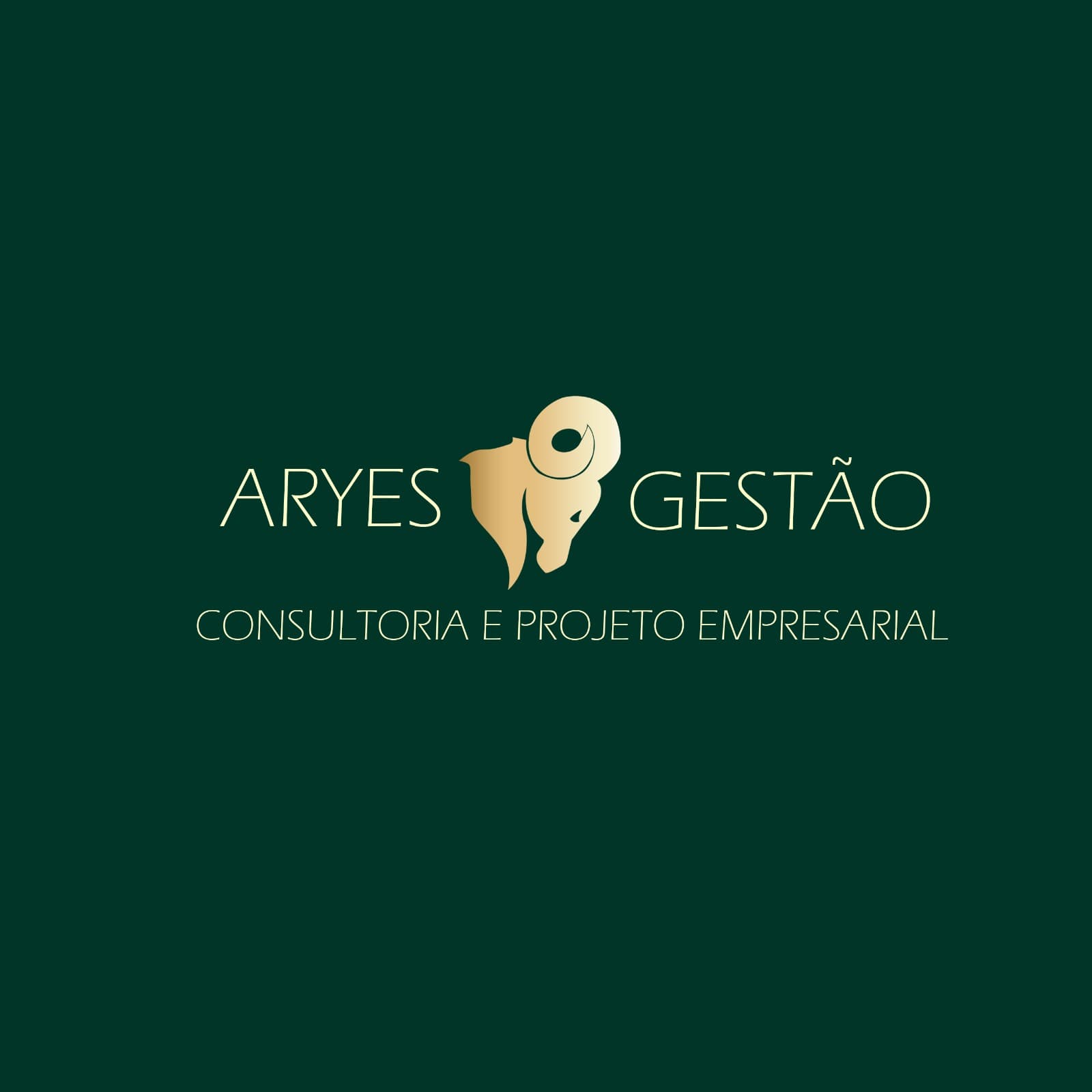 Mulher tabalhando em processos da Aryes